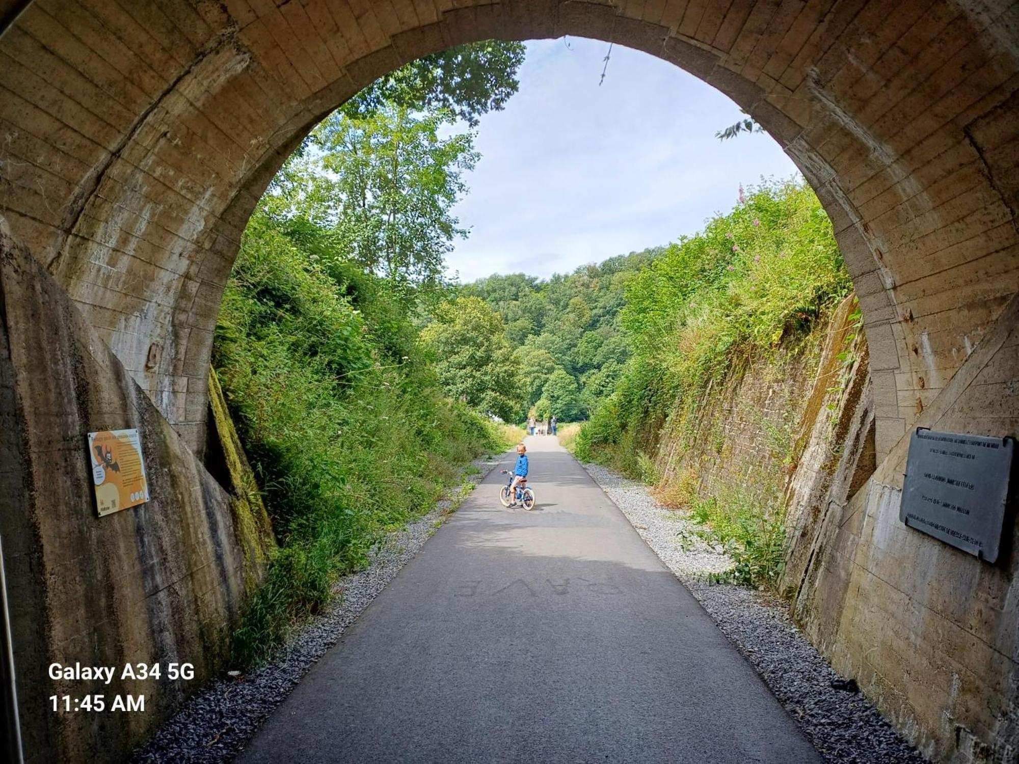 Les 3 Freres : Plain-Pied En Pleine Nature Vresse-sur-Semois Exterior foto