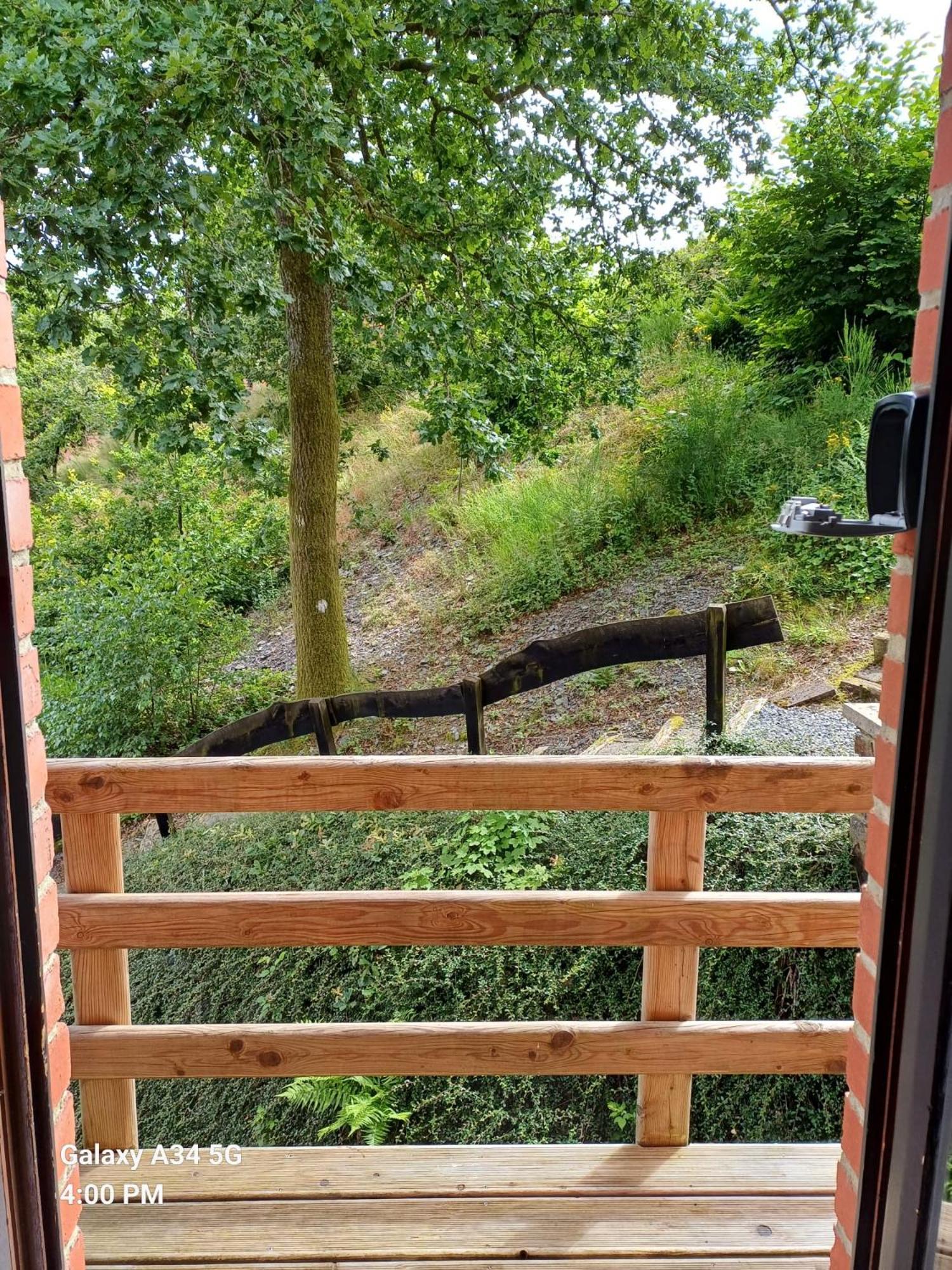 Les 3 Freres : Plain-Pied En Pleine Nature Vresse-sur-Semois Exterior foto